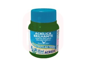 Tinta Acrílica Brilhante 37ml Verde Musgo - Acrilex